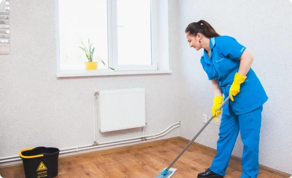 Professional cleaning team in action