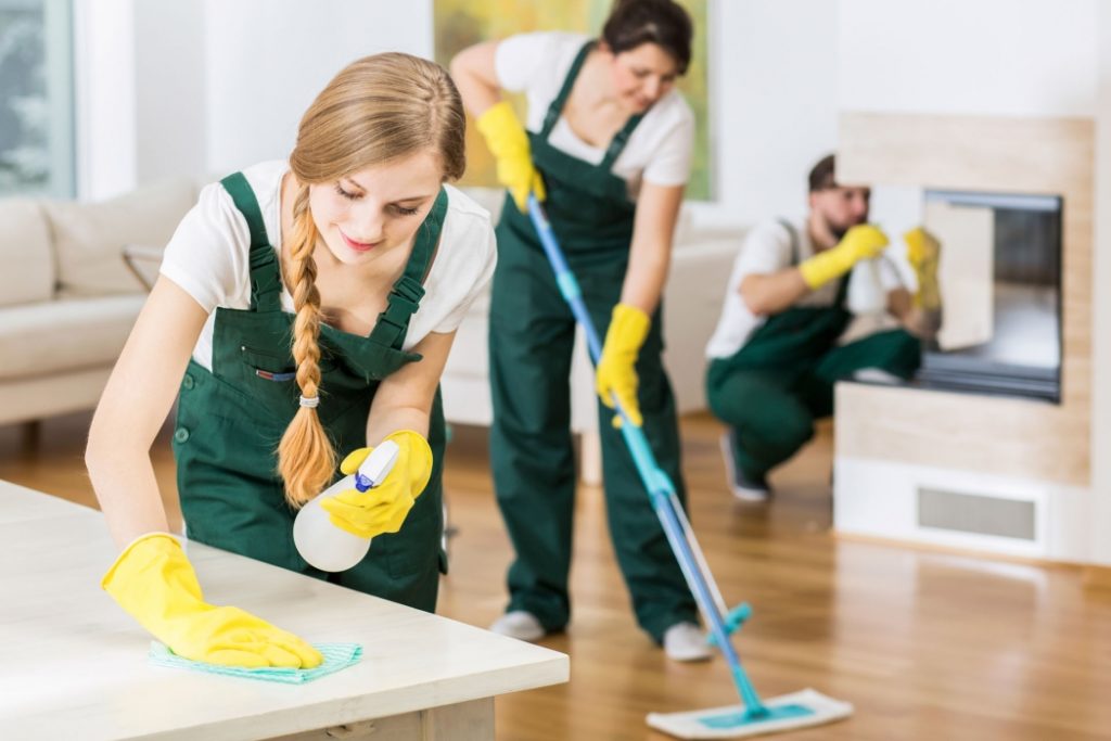 Professional apartment cleaning service showcasing spotless modern living space with pristine furniture and gleaming surfaces